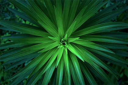 2022年壬寅虎年冬天理发吉日一览，理发有什么忌讳？