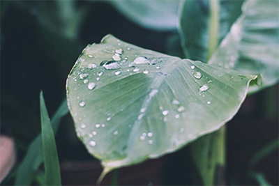 2022壬寅虎年秋季黄道吉日一览！