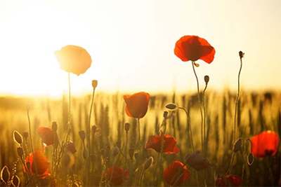 2022壬寅虎年春季有哪些日子是黑道凶日？