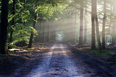 2022壬寅虎年冬季有多少凶日破日？