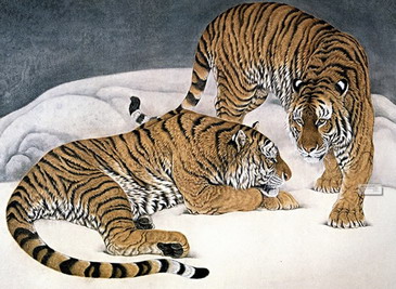 2022年农历一月份出生的虎宝宝五行缺什么？