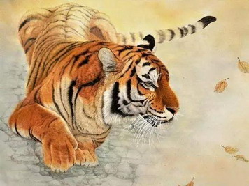 2022年五行属什么年份？生肖虎几月出生财运旺？