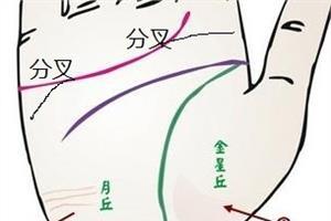 感情线分叉