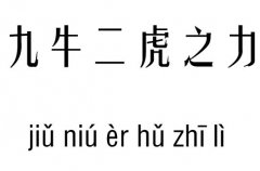 九牛二虎之力五行吉凶_九牛二虎之力成语故事