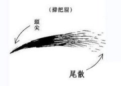 扫把眉面相图解