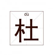 杜姓男孩起名_姓杜男孩名字大全