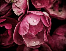 2015年公司起名方法总结