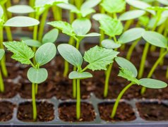 八种楼房风水不吉利