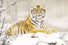 属虎的几月出生最好，属虎的4月出生好吗？