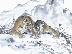 属虎的几月出生最好，属虎的2月出生好吗？