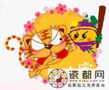 寅虎的最完整恋爱手册