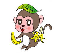 2019年属猴人哪些月份适合结婚？