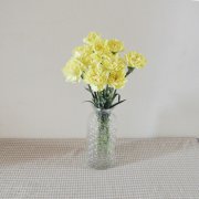 属羊人怎样表现可以崭露头角