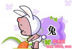属兔的年份
