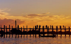 生肖属虎2018年运势运程详解！