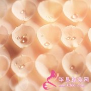 属虎的人最真实的谎言是什么