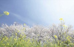  2019年12月出生的双胞胎男孩起什么名字