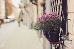 好听吉祥水产渔业公司名字大全 吉祥时尚水产渔业公司起名