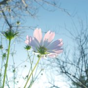 好听吉祥矿业公司名字大全 吉祥个性矿业公司起名