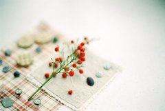 好听的房地产开发公司名字大全