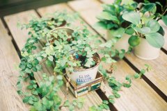 好听的开锁公司名字大全