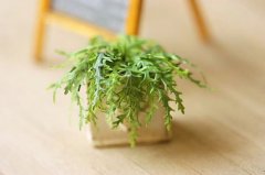 高端洋气网咖名字大全