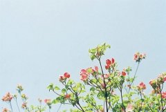 演艺公司好听有创意的名字