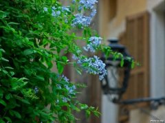 大气时尚的公司名字