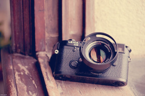 有创意好听的葡萄酒销售公司名字