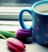 高端大气的养殖公司名字