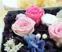 创意好听的塑料公司名字