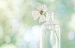 咨询公司名字好听大气