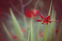 煤炭公司名字寓意好聚财