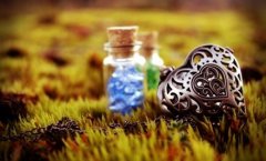 置业公司名字大气响亮