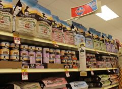 宠物用品店起名有爱心