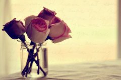 姓夏侯男孩名字属猪2019好听的