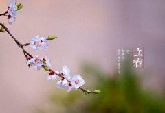 姓怀女孩名字有诗意