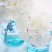 姓阙女孩名字属猪2019好听的