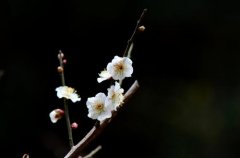 生辰八字起名：2019年2月17号出生的女宝宝怎么样起名字
