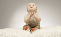 属猪的男宝宝取名