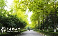 给苗木公司起名 好听的苗木公司名字大全