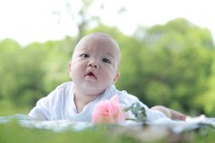 2017姓杨的宝宝起名字