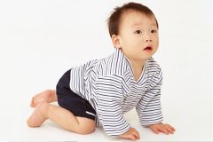 3月份的鸡宝宝起名取名