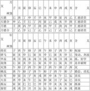 八字带华盖是什么意思