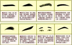 男生眉毛面相