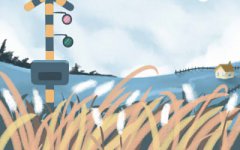 格活泼开朗且热情如火的生肖虎