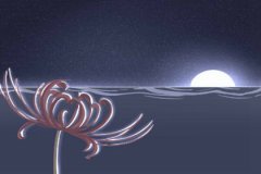 属虎的人会为了什么事而一人饮酒醉