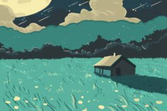 属虎的人在游戏中都主导什么角色