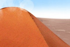 属虎女出轨的理由是什么？