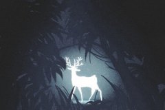 属虎的人最讨厌什么天气